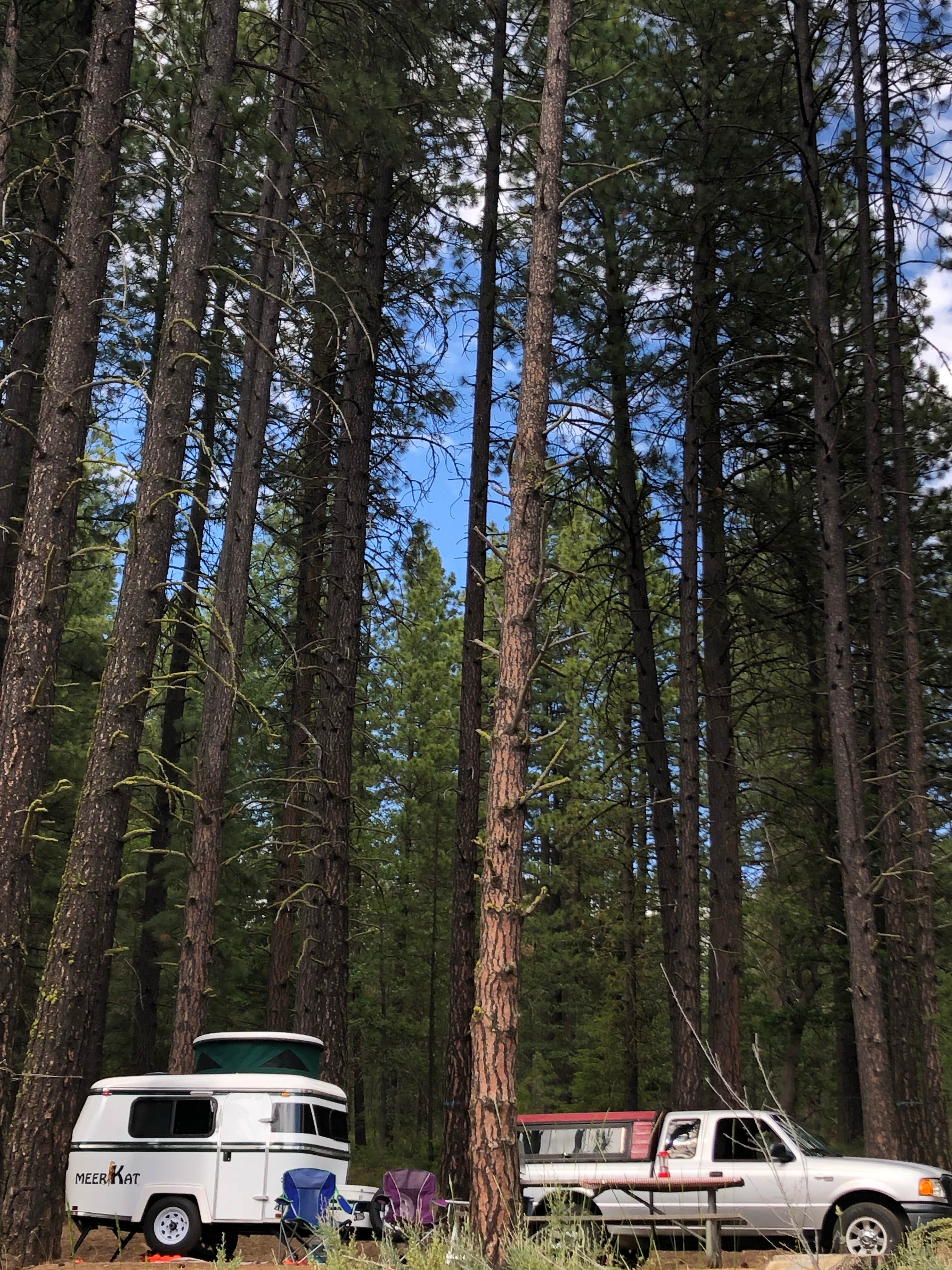 Camper-submitted photo at Brooks Memorial State Park Campground near Wishram, WA