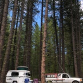 Review photo of Brooks Memorial State Park Campground by Susan L., July 2, 2019