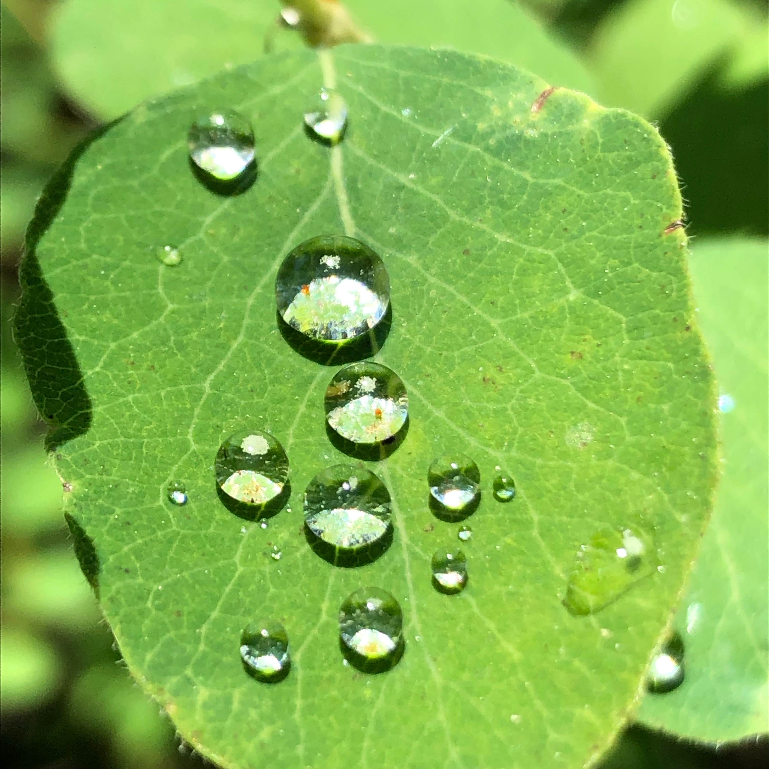 Camper-submitted photo at Brooks Memorial State Park Campground near Wishram, WA