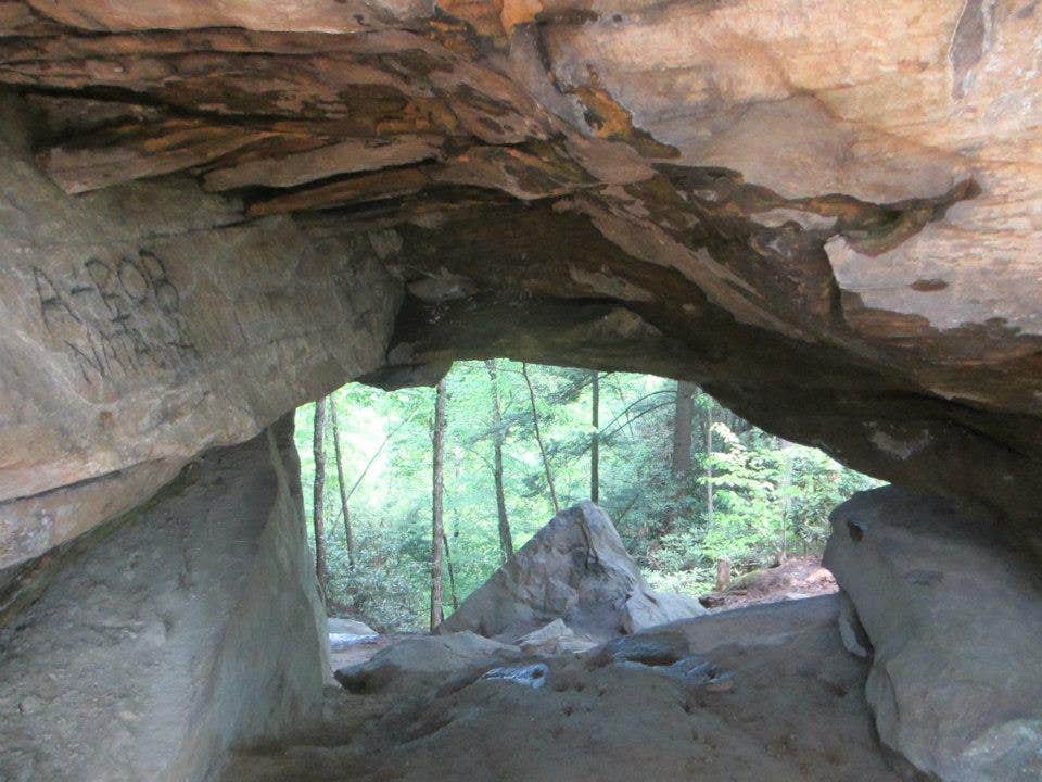 Camper submitted image from Middle Fork Campground — Natural Bridge State Resort Park - 1