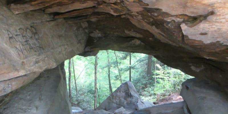 Camper submitted image from Middle Fork Campground — Natural Bridge State Resort Park