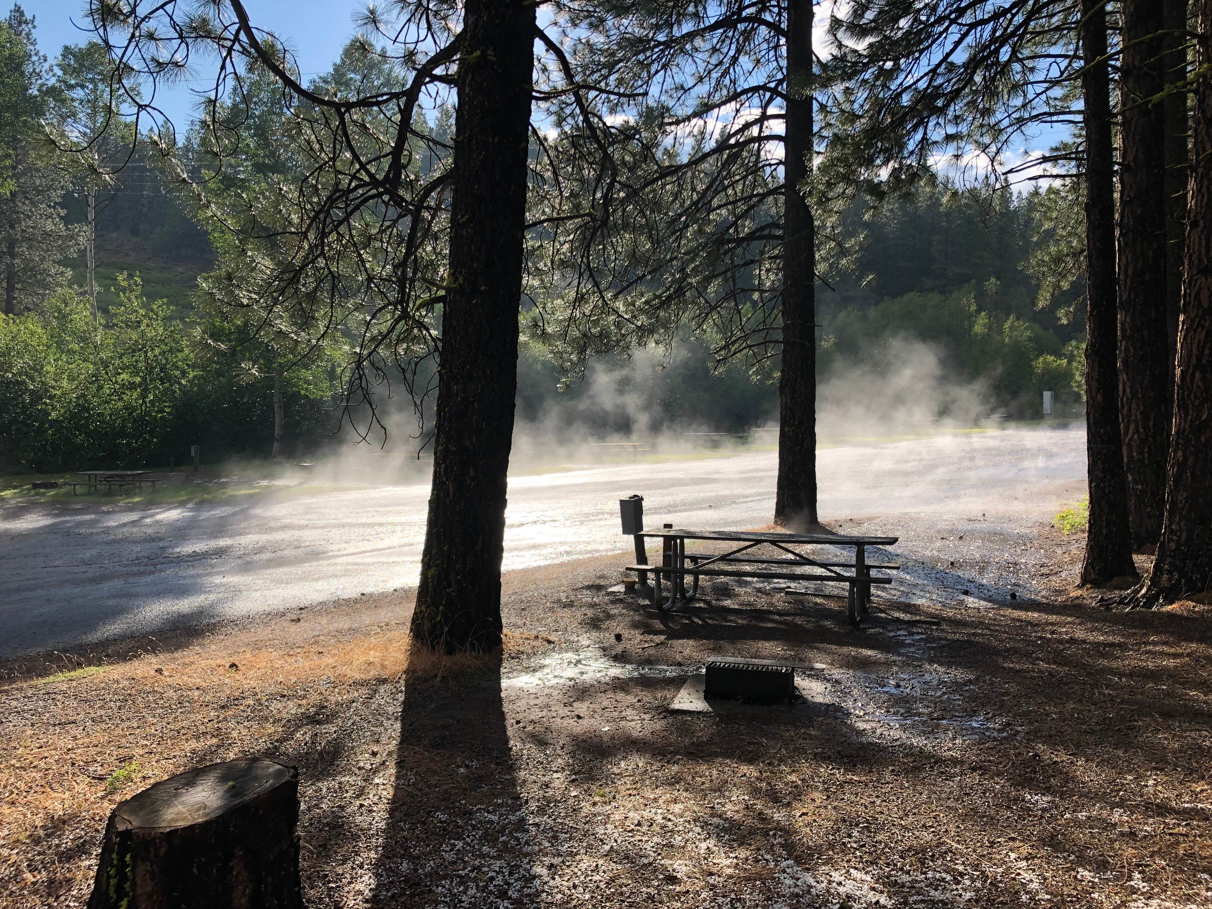 Camper submitted image from Brooks Memorial State Park Campground - 4