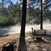 Review photo of Brooks Memorial State Park Campground by Susan L., July 2, 2019