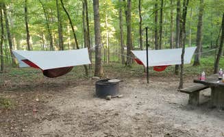 Dan M.'s photo at Charlton Campground near Ouachita Lake