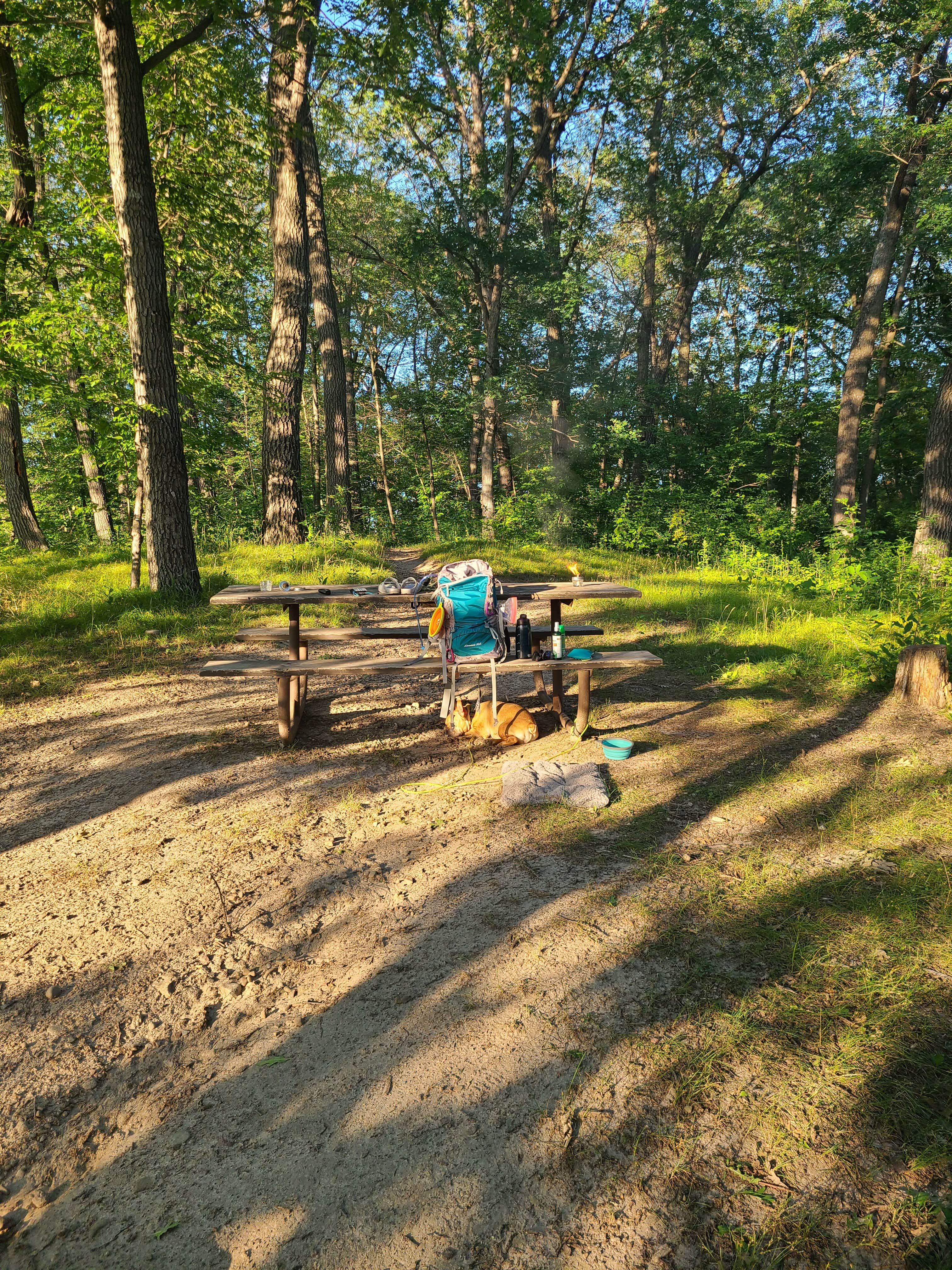 Tori K.'s photo of camping with pets at Lake Maria State Park Campground near Saint Cloud, MN