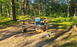 Tori K.'s photo of camping with pets at Lake Maria State Park Campground near Saint Cloud, MN