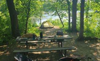 Tori K.'s photo of camping with pets at Lake Maria State Park Campground near Saint Cloud, MN