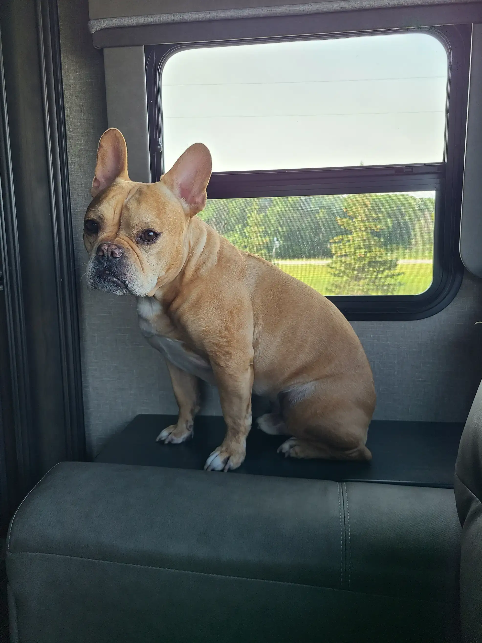 Camper-submitted photo at Lazy Days Campground near Carlos, MN