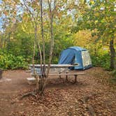 Review photo of Gooseberry Falls State Park Campground by Tori K., January 28, 2025