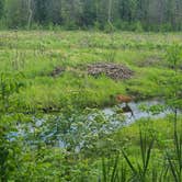 Review photo of Jay Cooke State Park Campground by Tori K., January 28, 2025