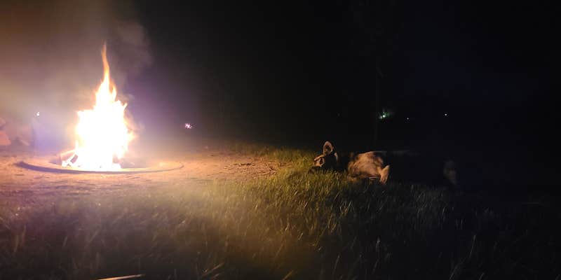 Camper submitted image from Masonic West River Park