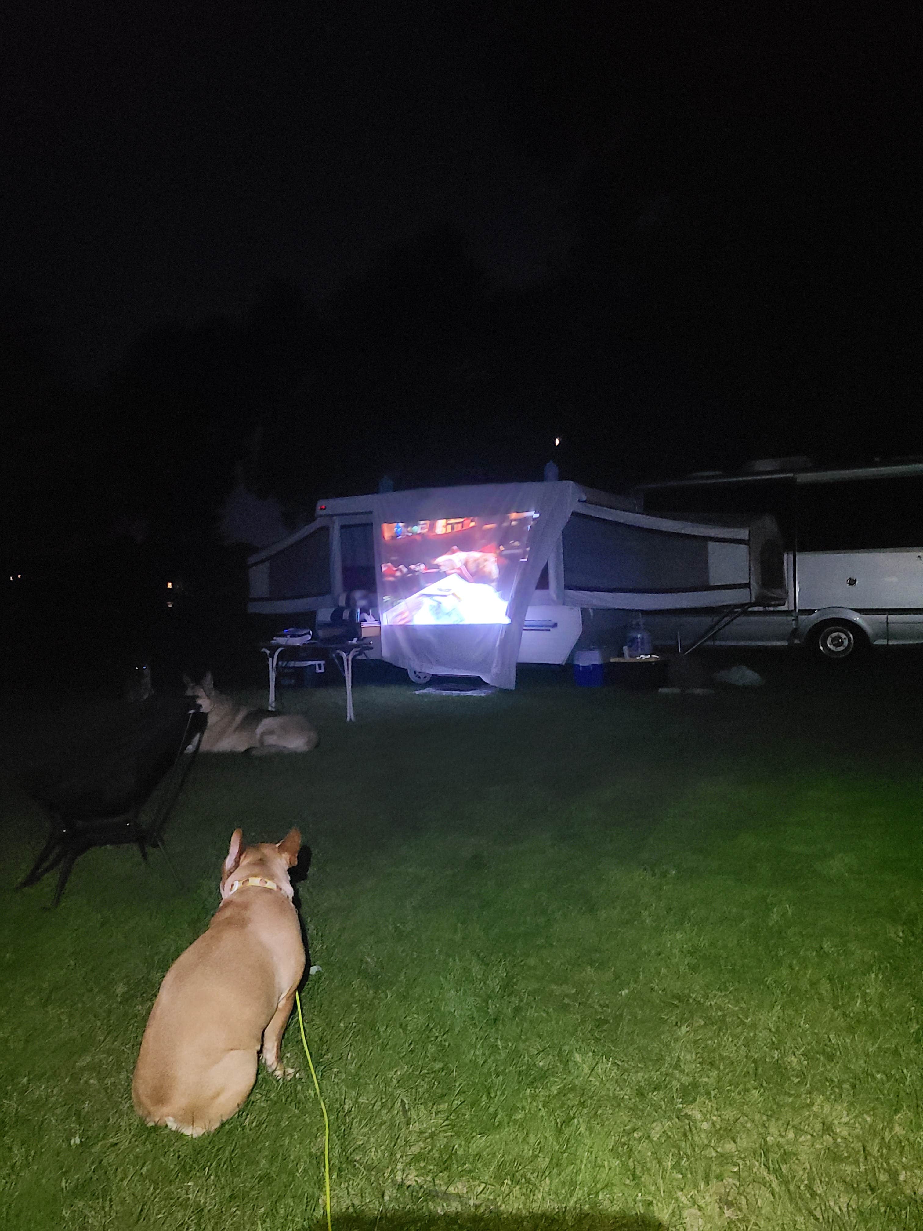 Camper submitted image from Masonic West River Park - 3