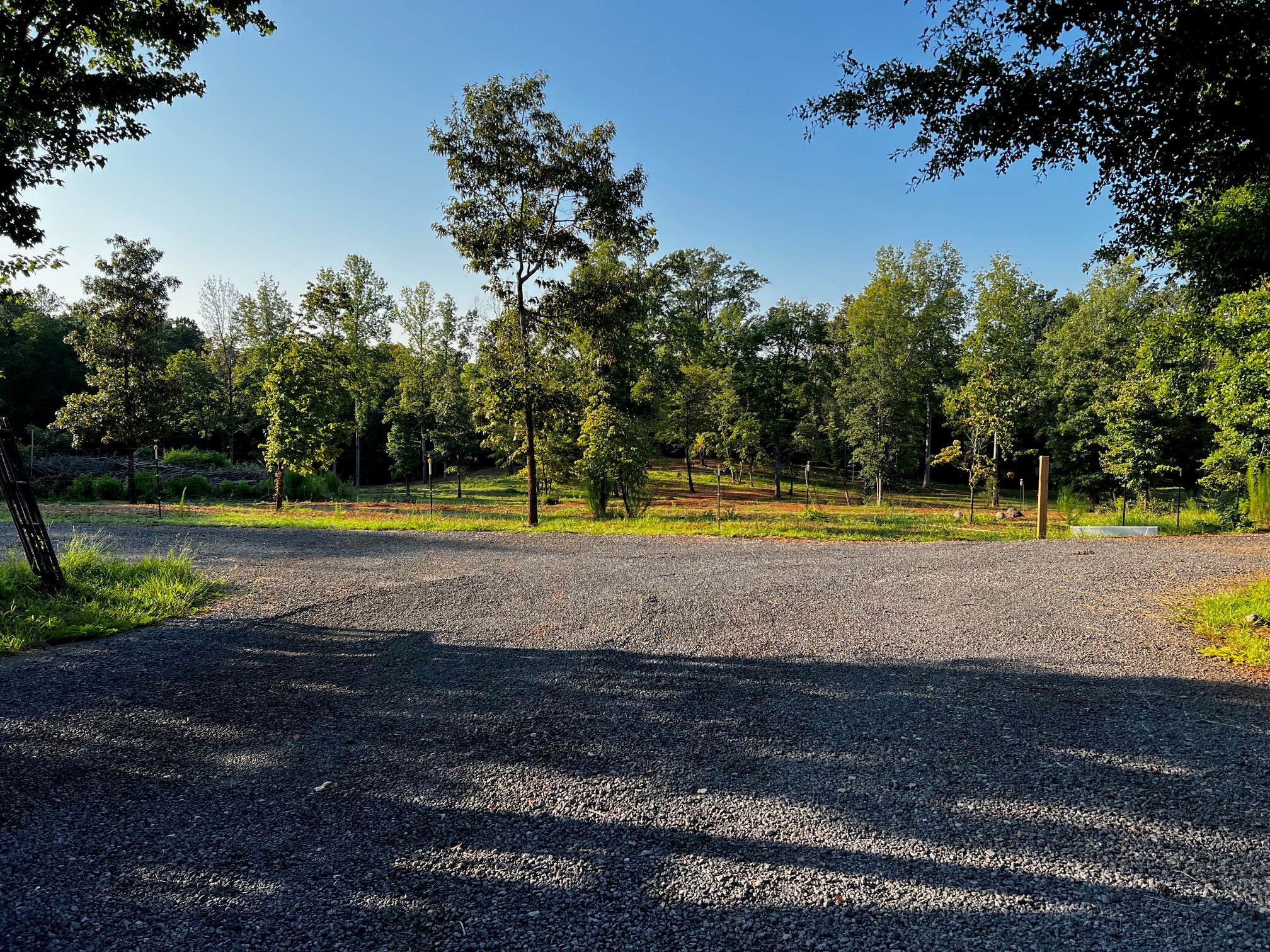 Camper-submitted photo at Dogwood Ridge near Chapin, SC