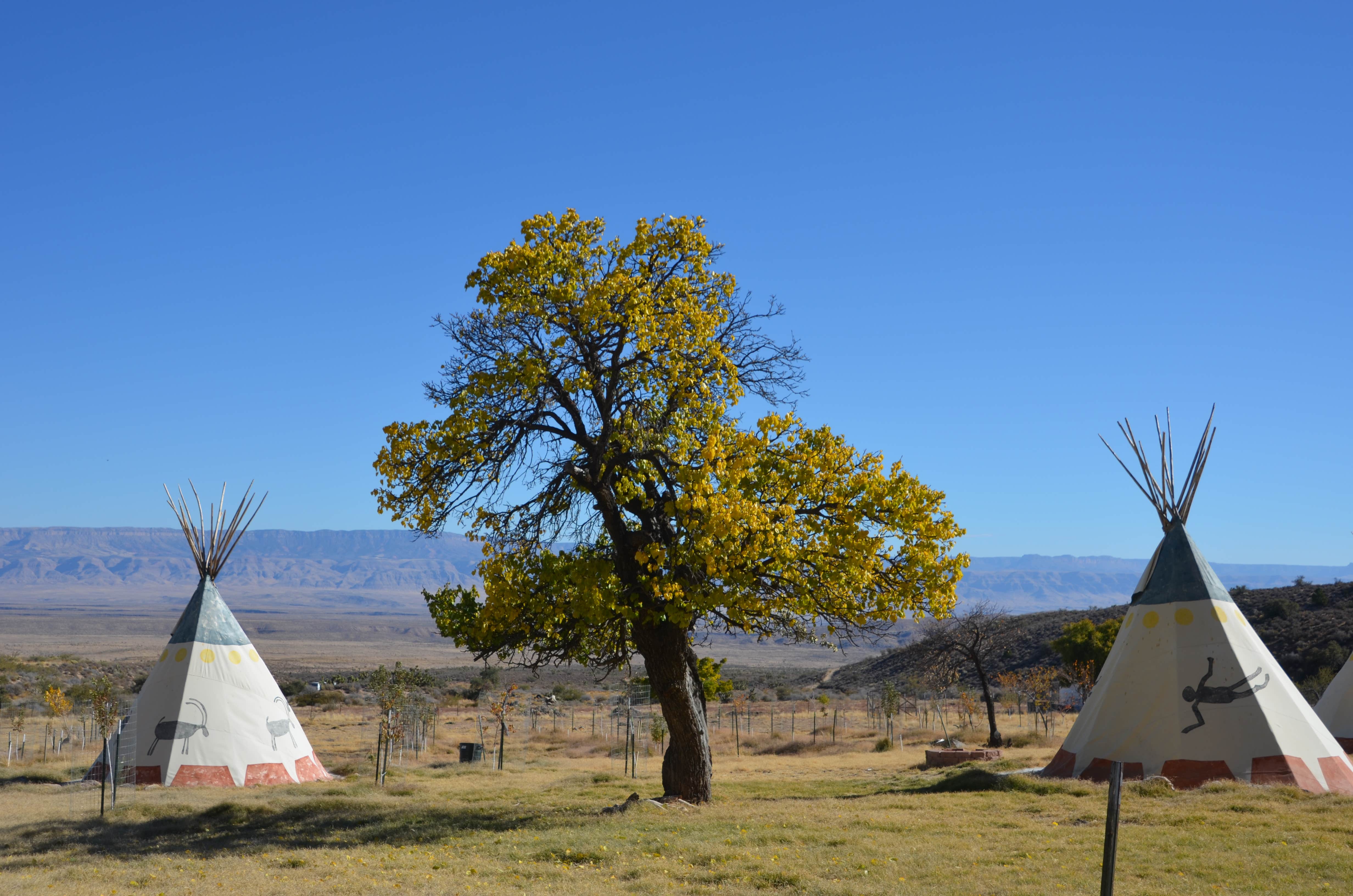 Kristina R.'s photo at Aravada Springs Campground near Bunkerville, NV