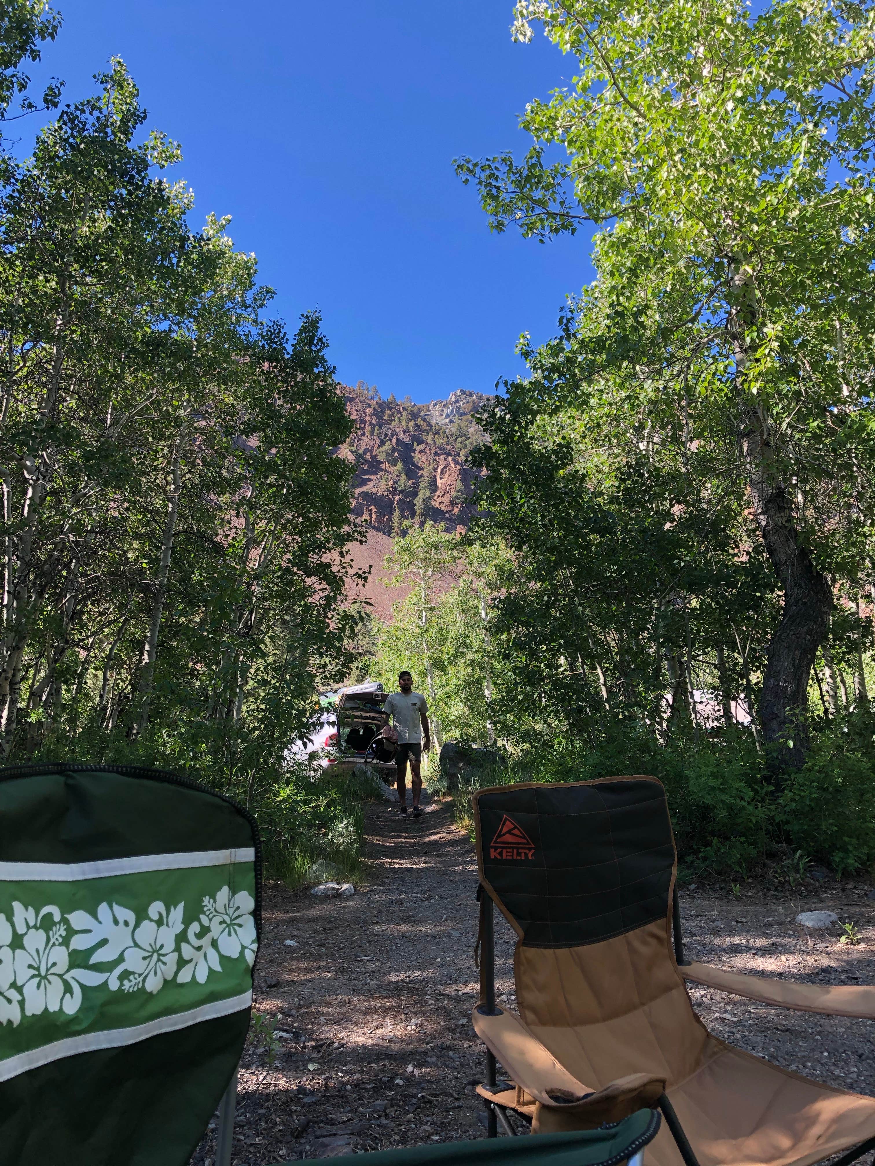 Camper submitted image from Lundy Canyon Campground - 2