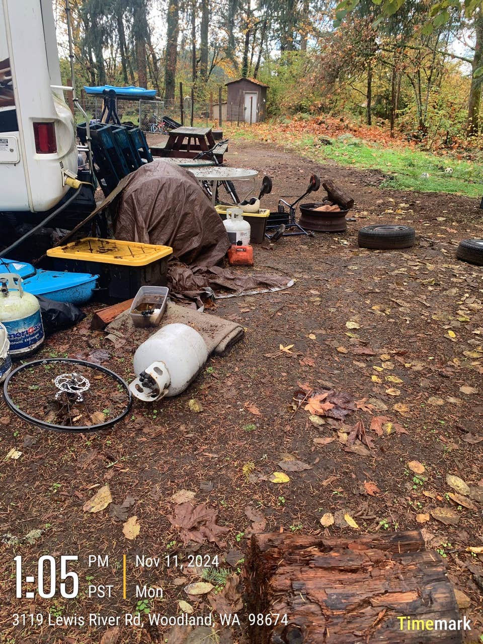 Camper submitted image from Lewis River Rv Park - 5