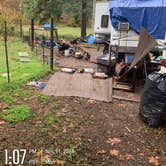 Review photo of Lewis River Rv Park by Regina R., January 28, 2025