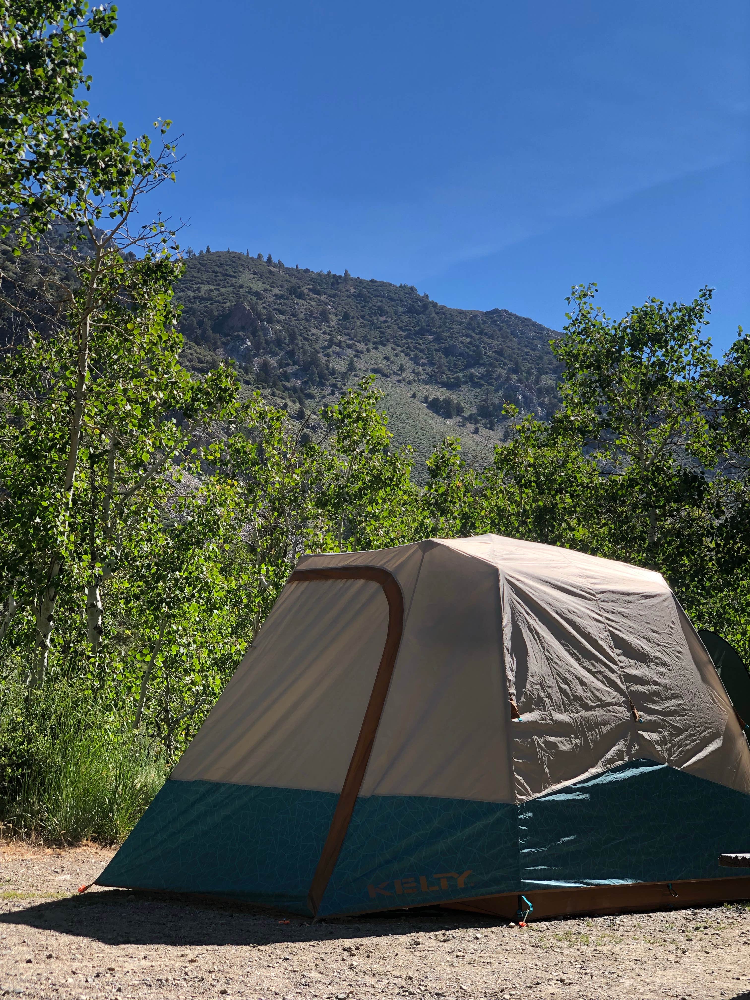 Camper submitted image from Lundy Canyon Campground - 3