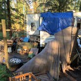 Review photo of Lewis River Rv Park by Regina R., January 28, 2025