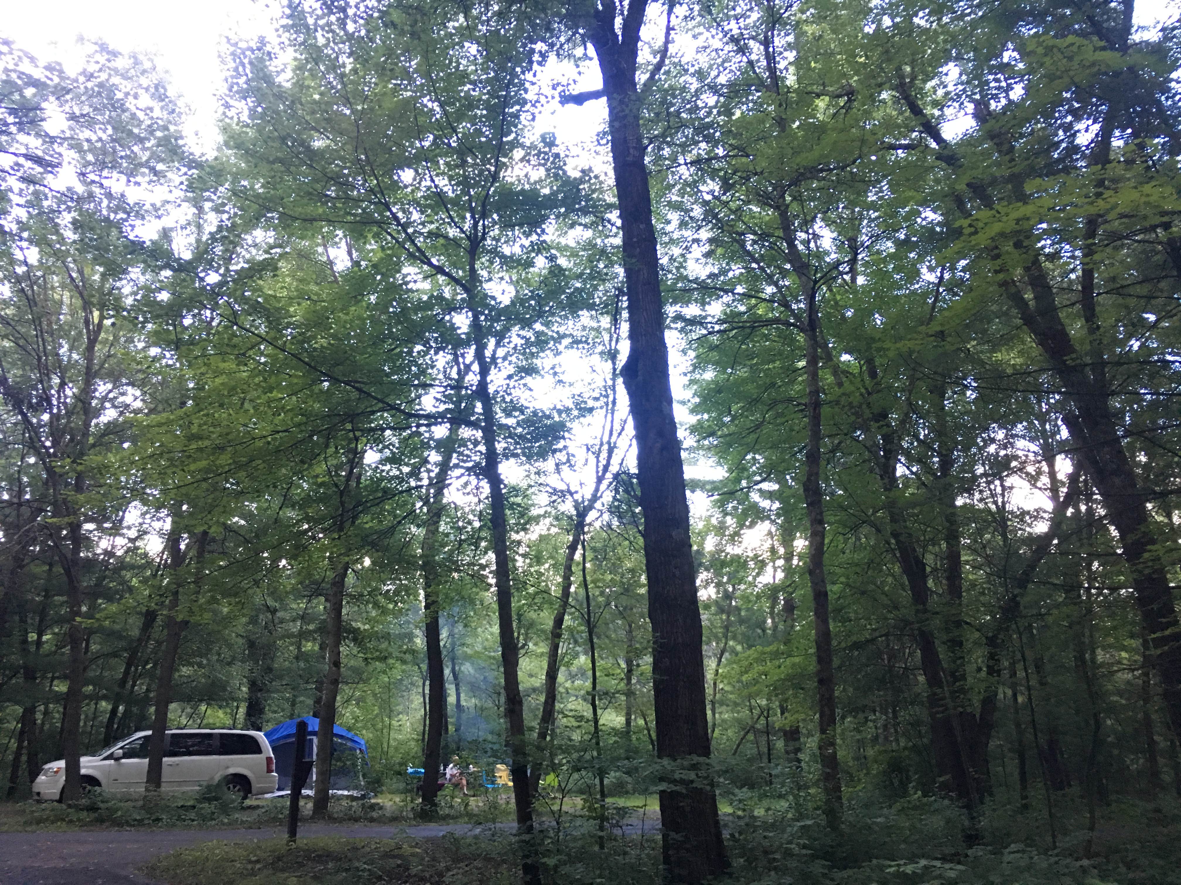 Camper-submitted photo at Pigeon Creek Campground — Black River State Forest near Pittsville, WI