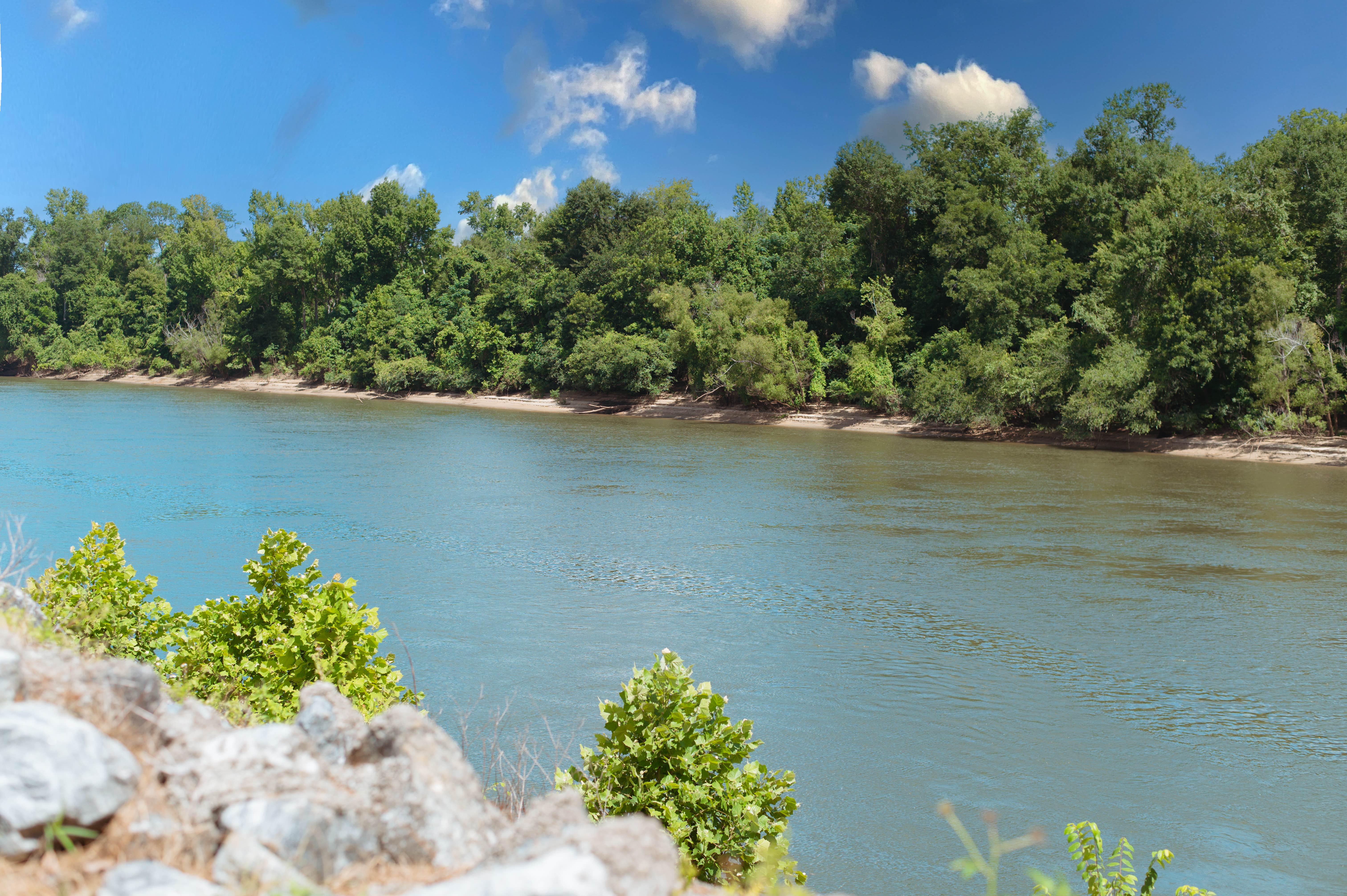 Camper-submitted photo at River Landing RV Park near Midway, FL