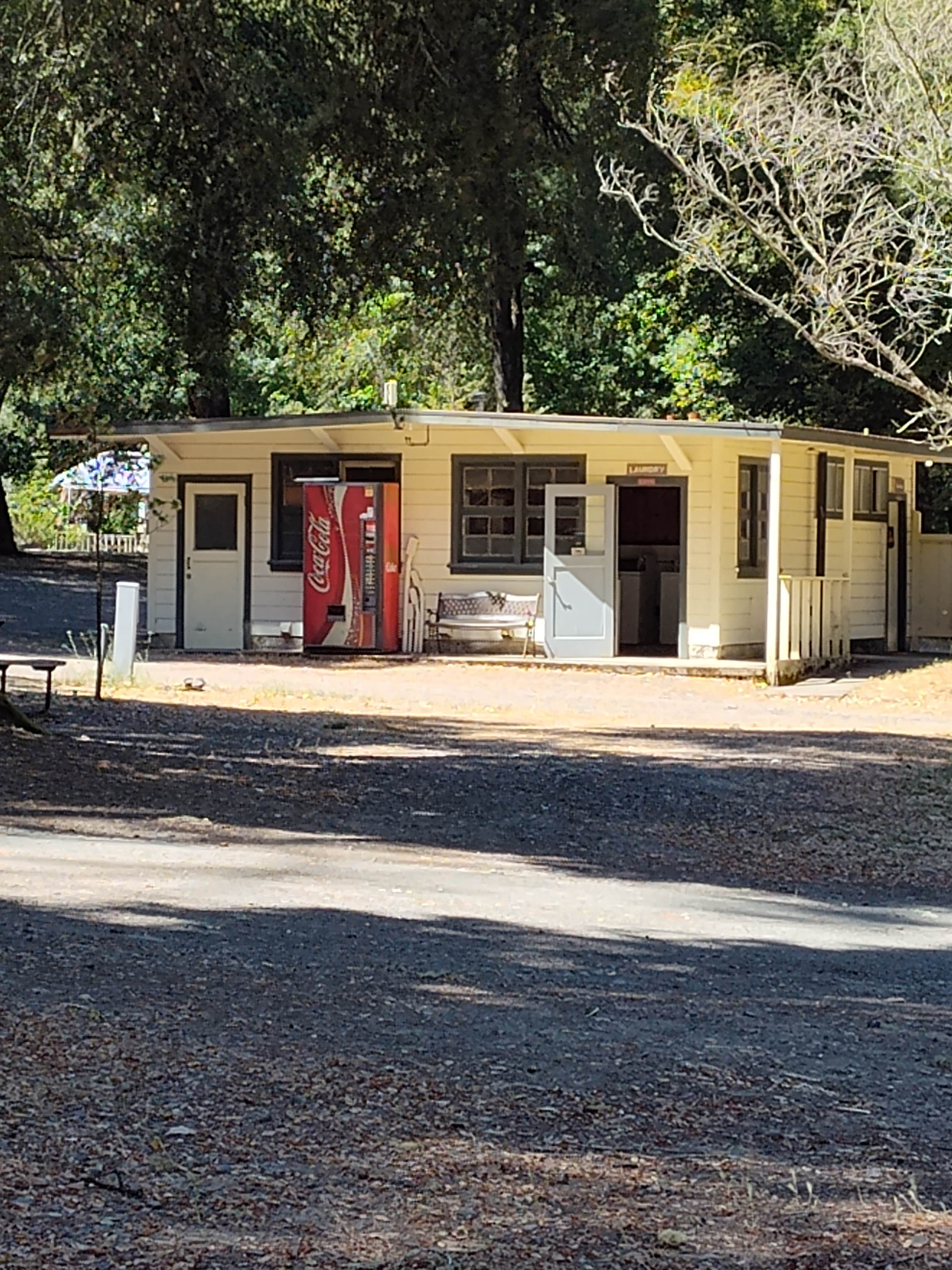 Camper-submitted photo at Richardson Grove Rv Park near Piercy, CA