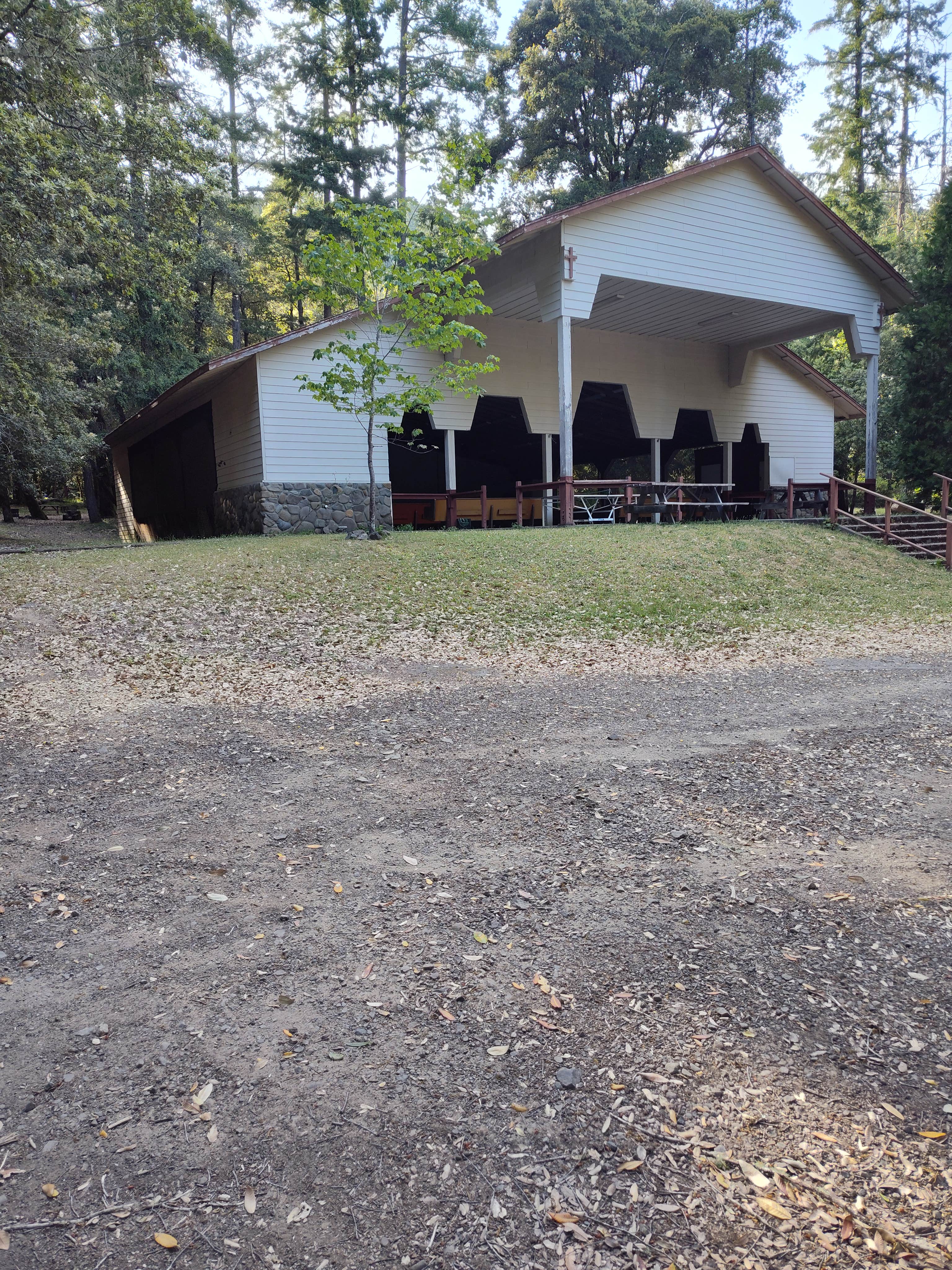 Camper-submitted photo at Richardson Grove Rv Park near Piercy, CA