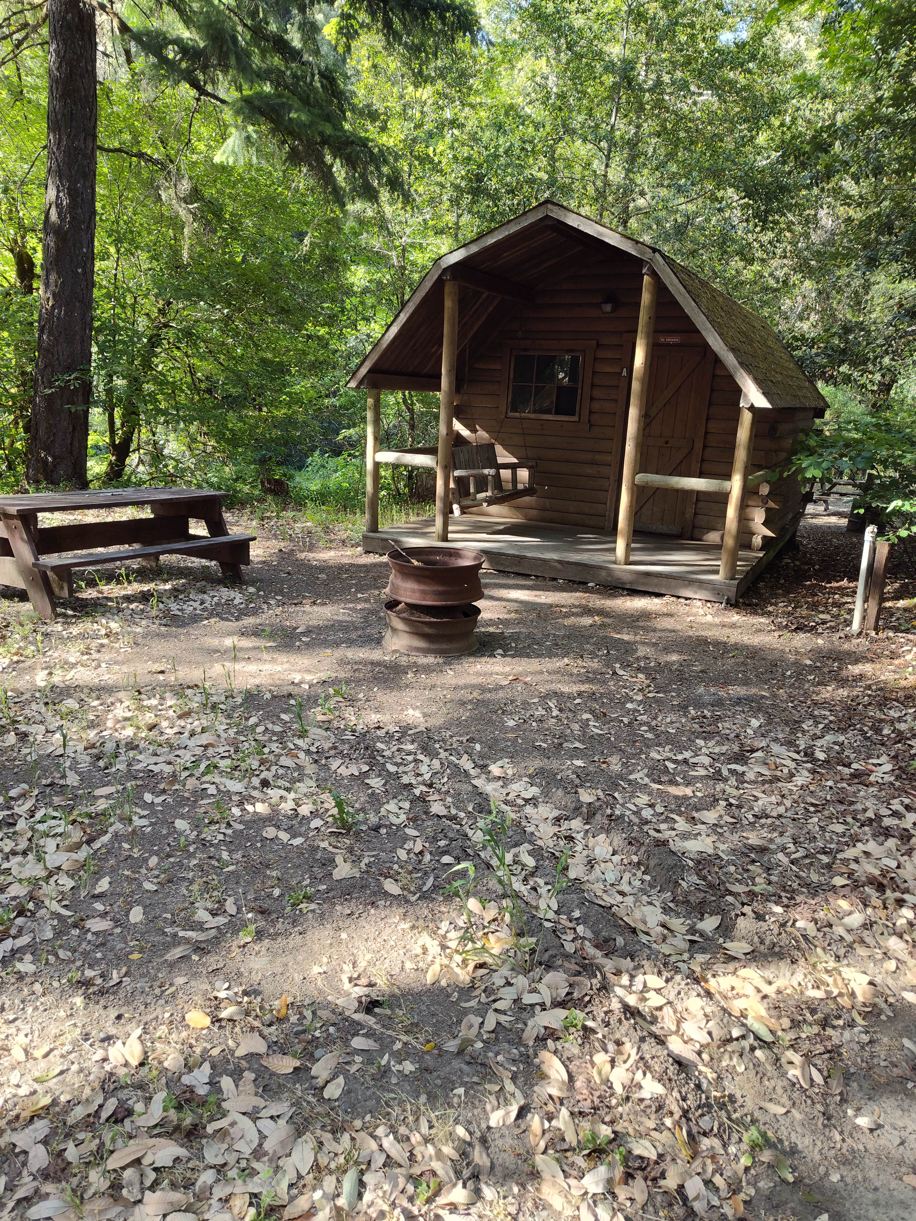 Camper-submitted photo at Richardson Grove Rv Park near Piercy, CA
