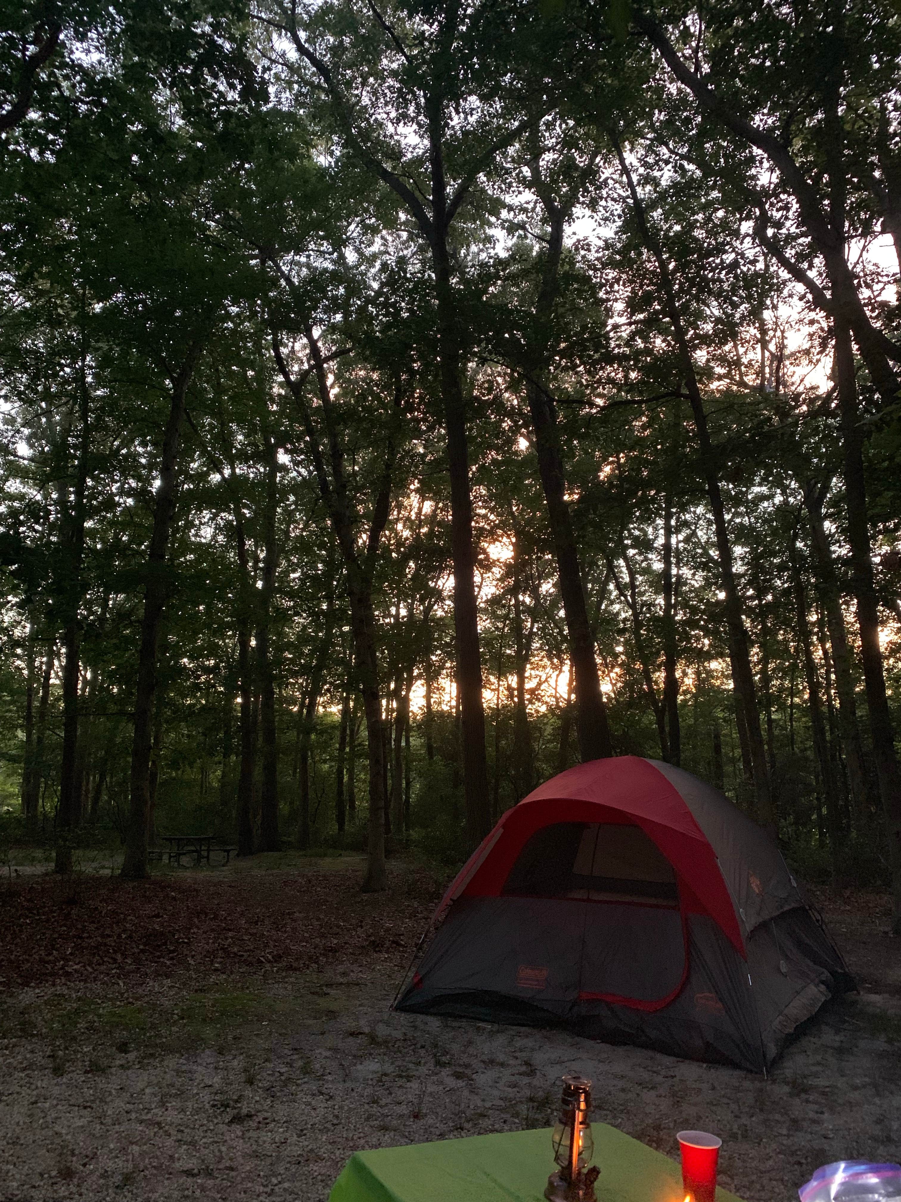 Camper submitted image from Allaire State Park - TEMPORARILY CLOSED - 4