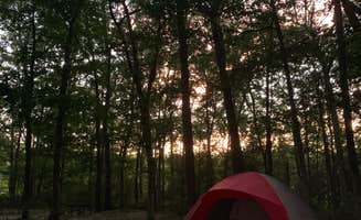 Justin S.'s photo at Allaire State Park - TEMPORARILY CLOSED near Marlboro, NJ