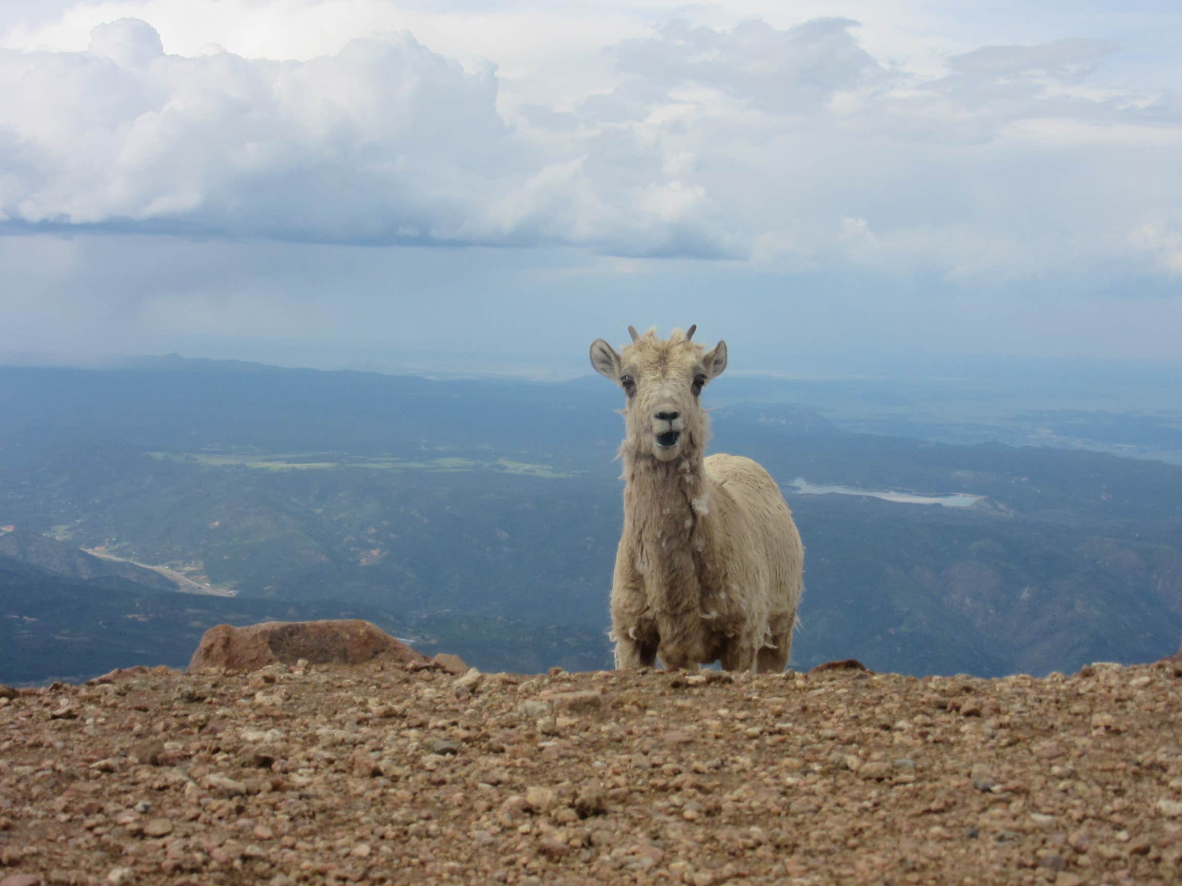 Chatfield State Park The Dyrt