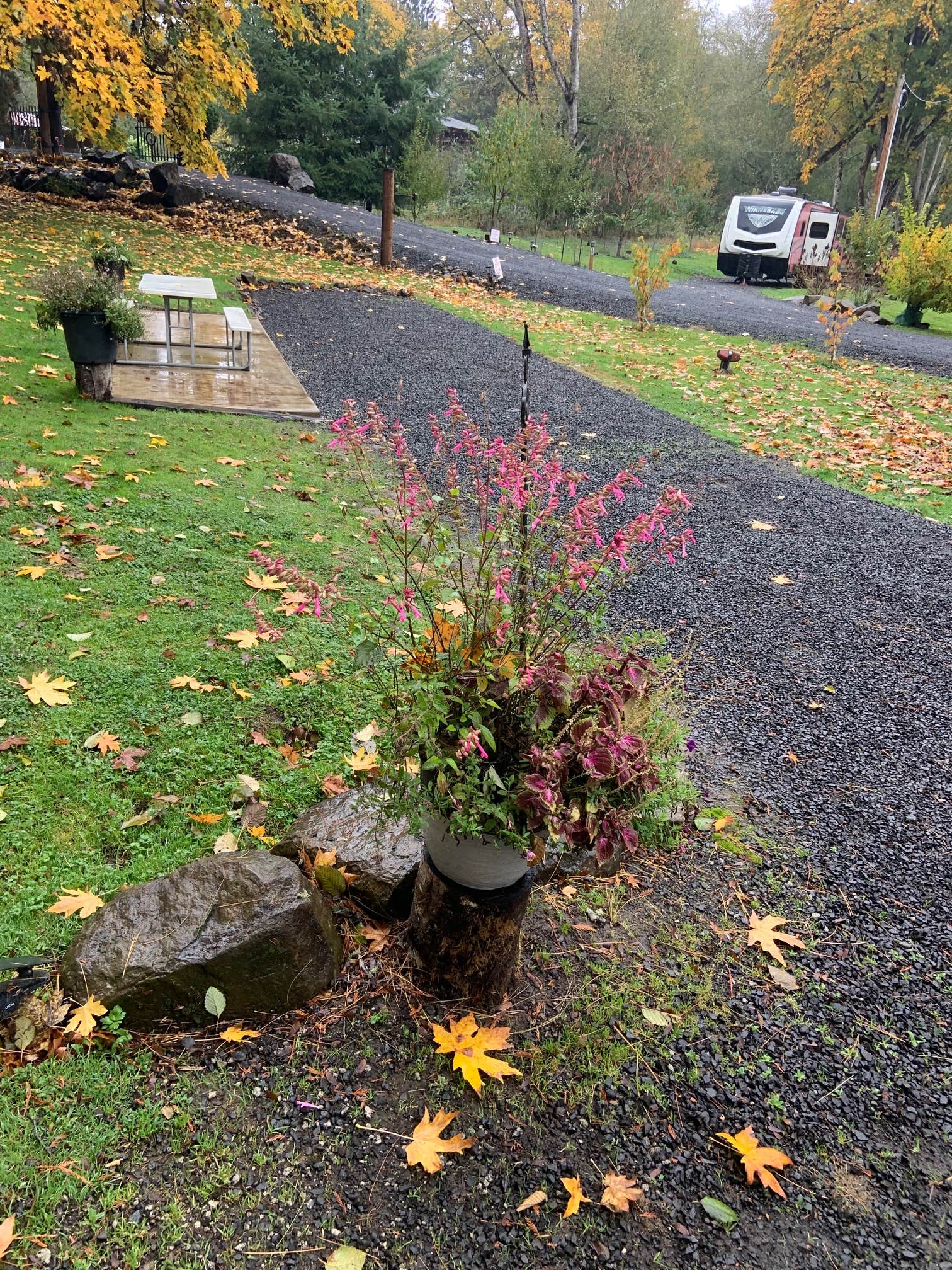 Camper-submitted photo at RV Outdoor Adventures and Cabins near Cathlamet, WA