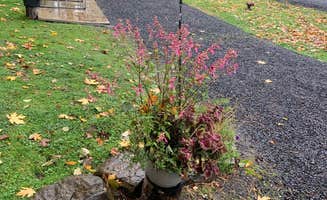 Donkey G.'s photo of camping with pets at RV Outdoor Adventures and Cabins near Scappoose, OR