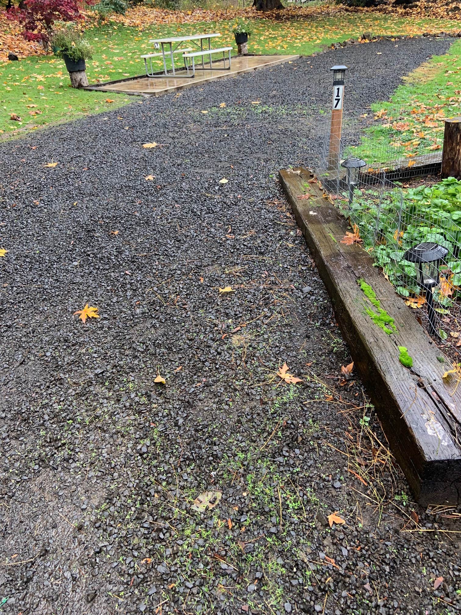 Camper-submitted photo at RV Outdoor Adventures and Cabins near Clatskanie, OR