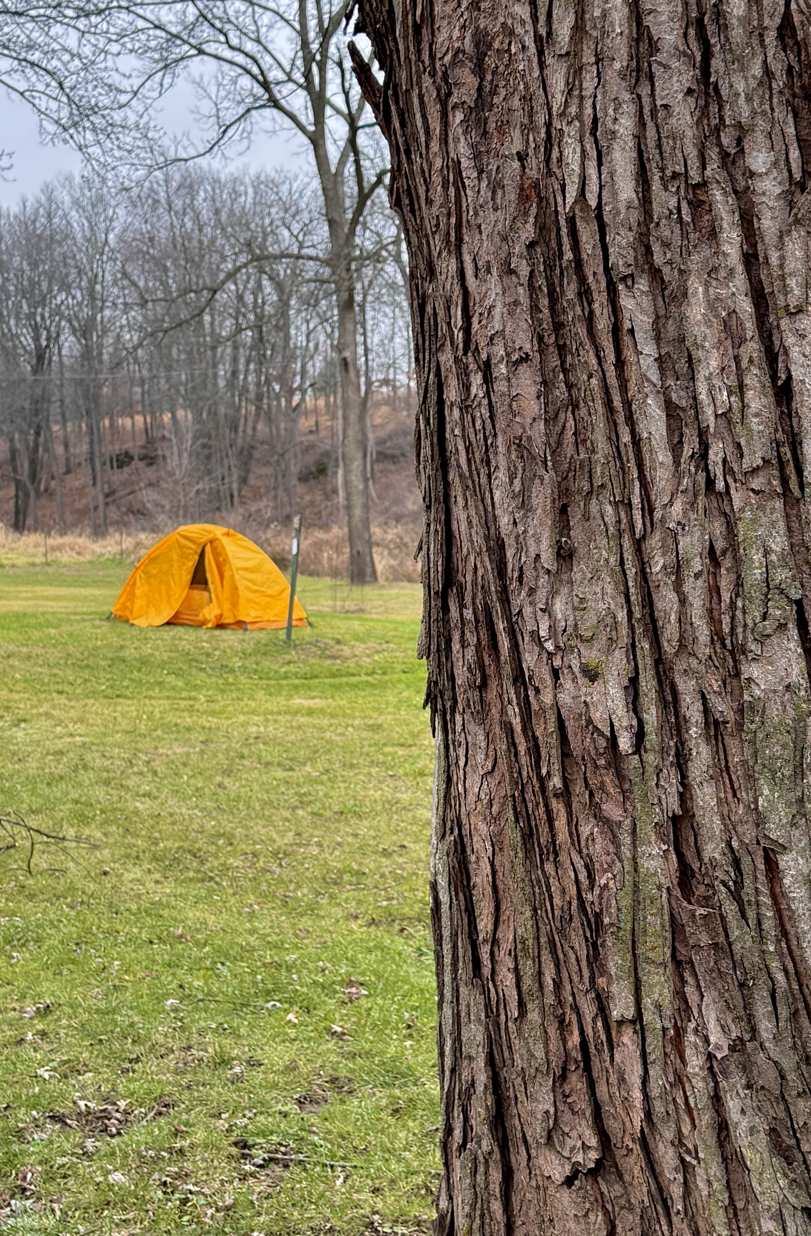 Camper submitted image from New Wine Park Dubuque County Park - 1