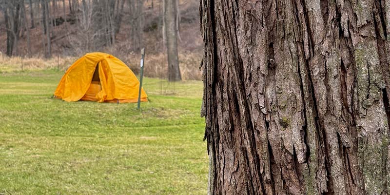Camper submitted image from New Wine Park Dubuque County Park