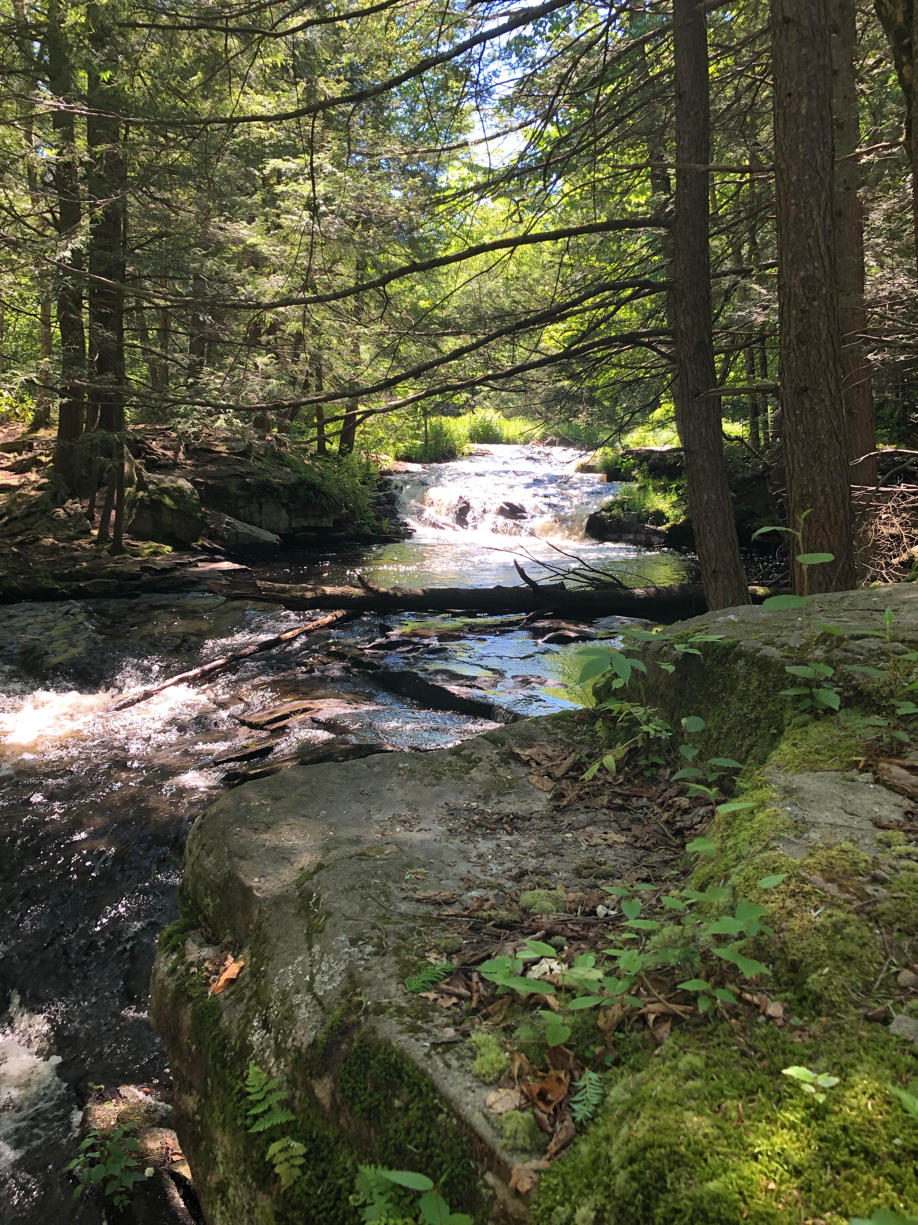 Little falls trail
