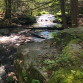 Review photo of Pickerel Point Campground — Promised Land State Park by Kelly F., July 2, 2019