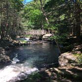 Review photo of Deerfield Campground — Promised Land State Park by Kelly F., July 2, 2019