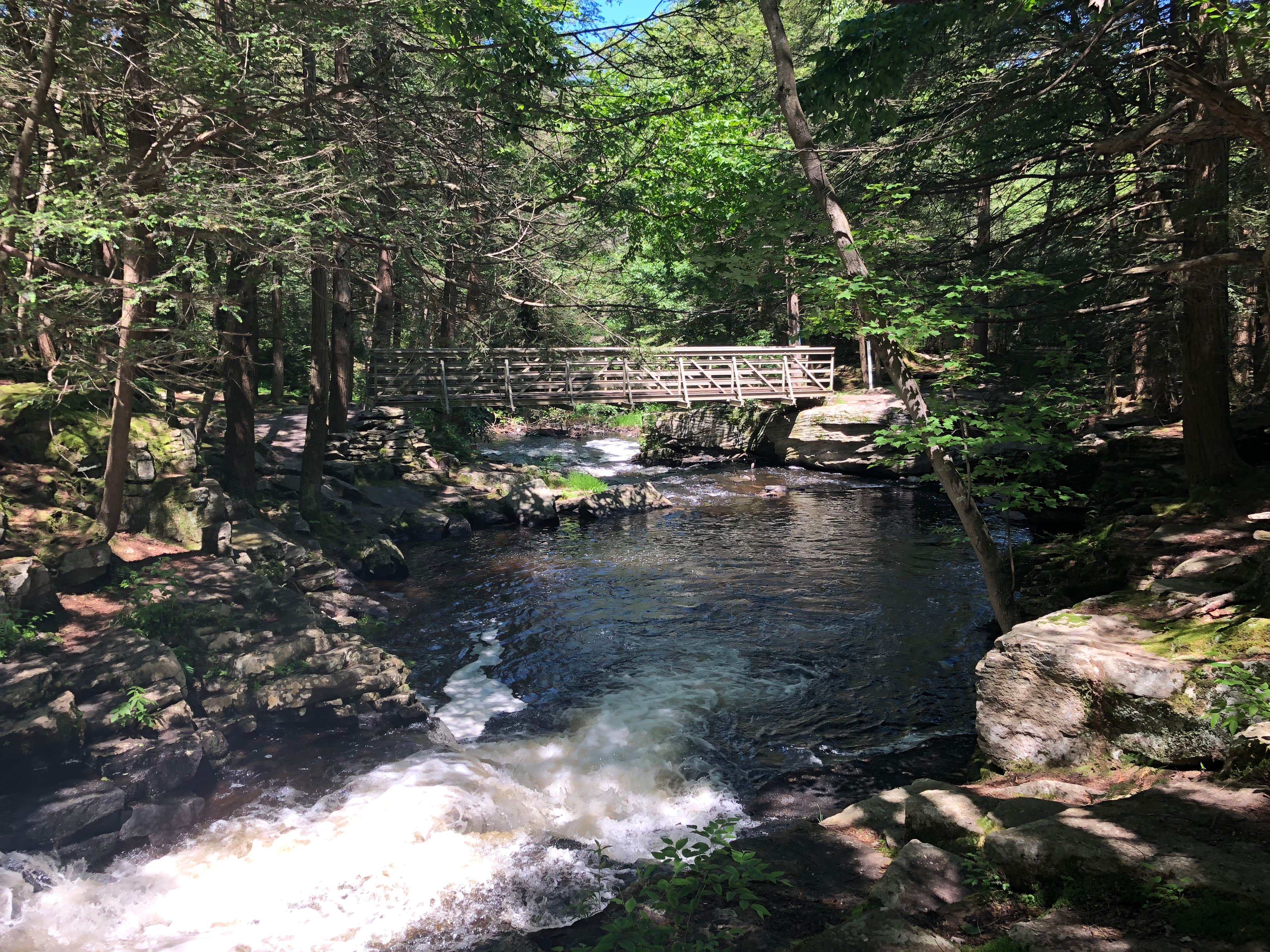 Camper submitted image from Deerfield Campground — Promised Land State Park - 4