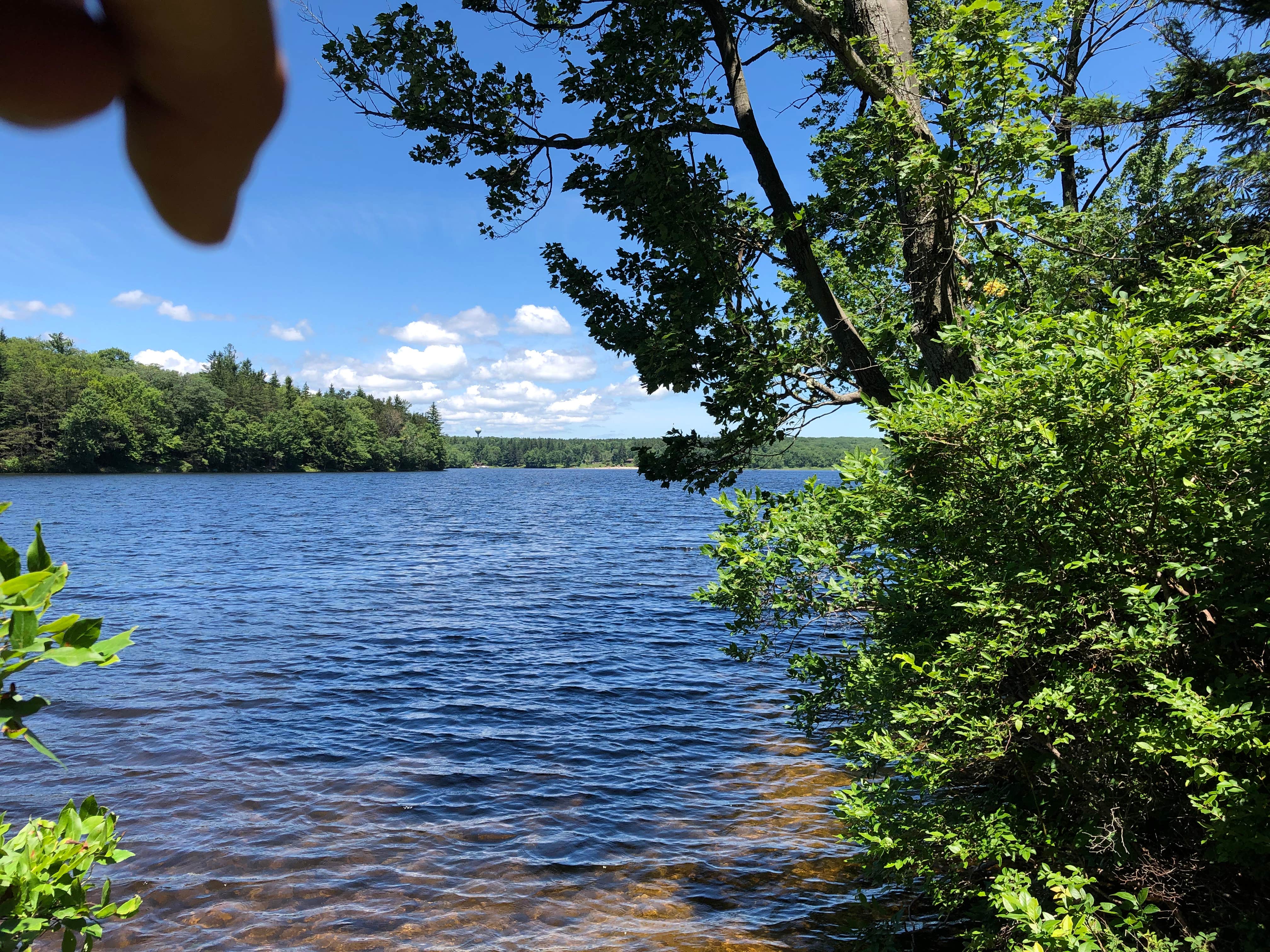 Camper-submitted photo at Deerfield Campground — Promised Land State Park near Hawley, PA