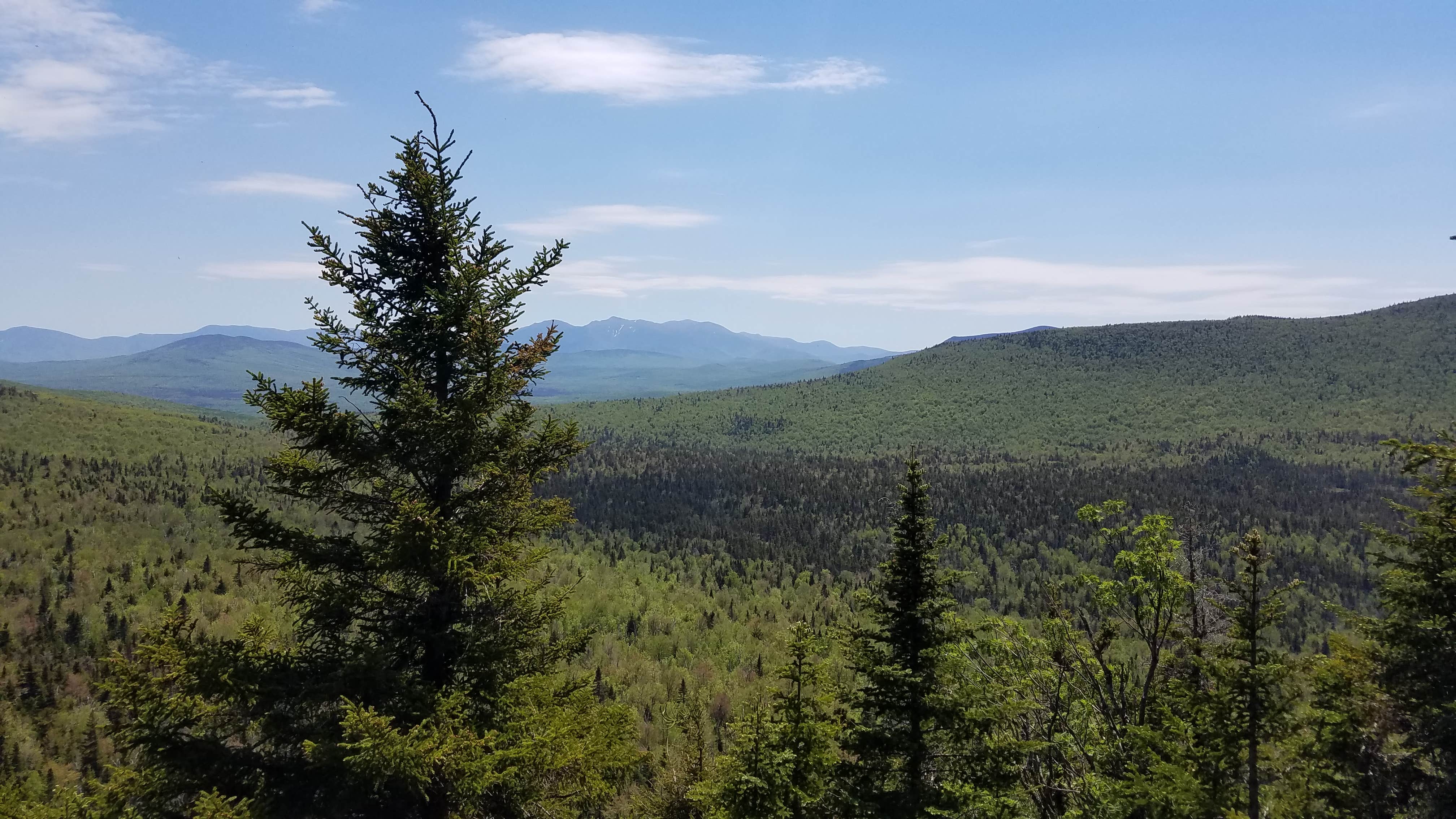 View from top of Roger's ledge. Awesome back woods hike