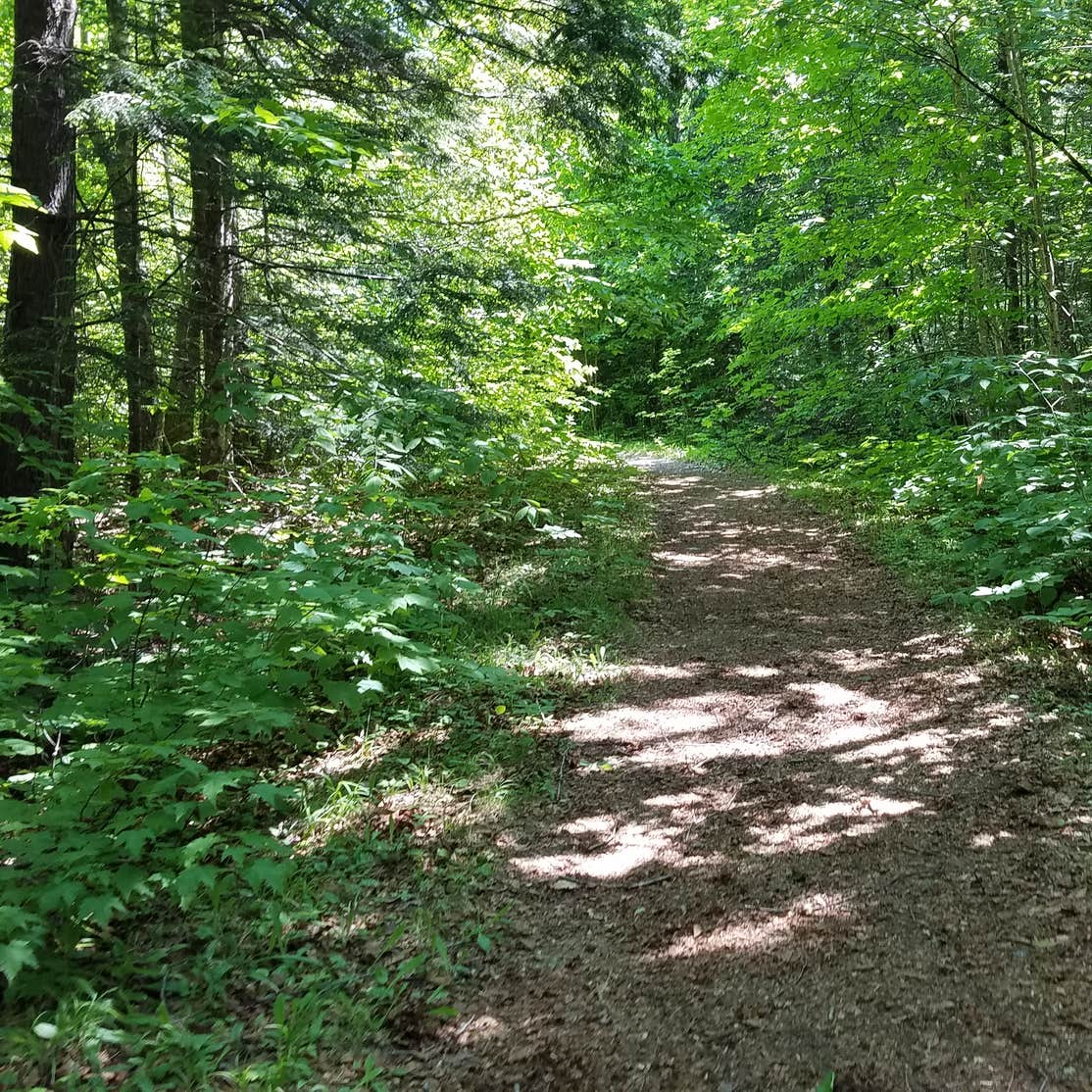 Tripoli Road Camping The Dyrt