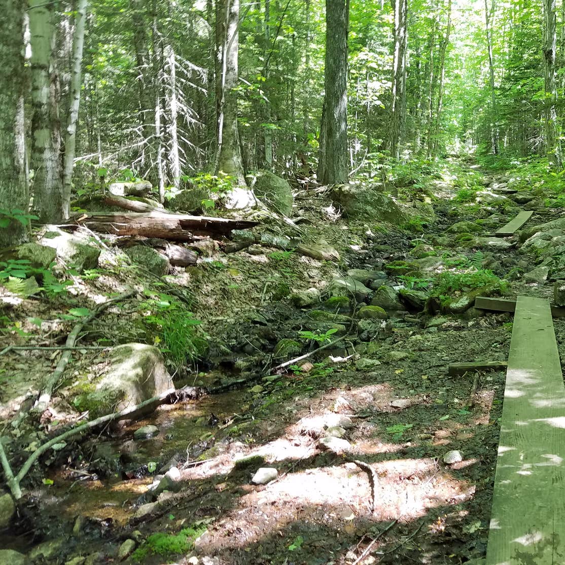 Tripoli Road Camping The Dyrt