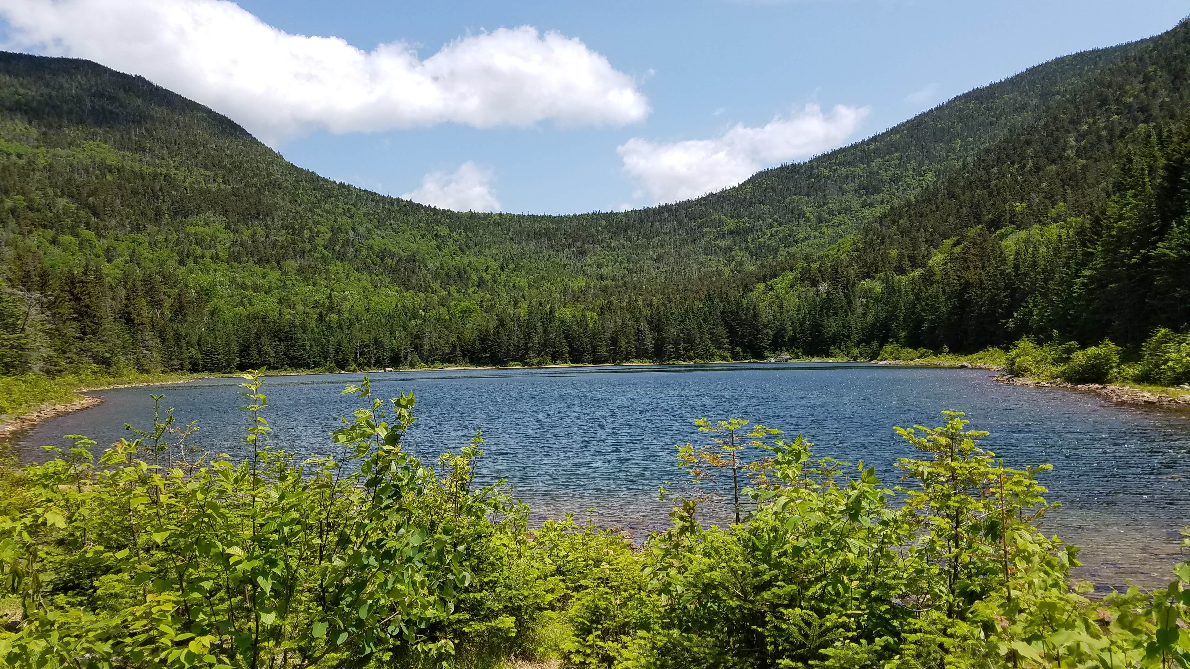 Ryan M.'s photo of a dispersed camping area at Tripoli Road near New London, NH