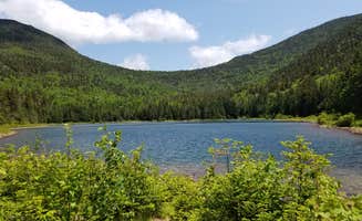 Ryan M.'s photo of a dispersed camping area at Tripoli Road near Thetford, VT