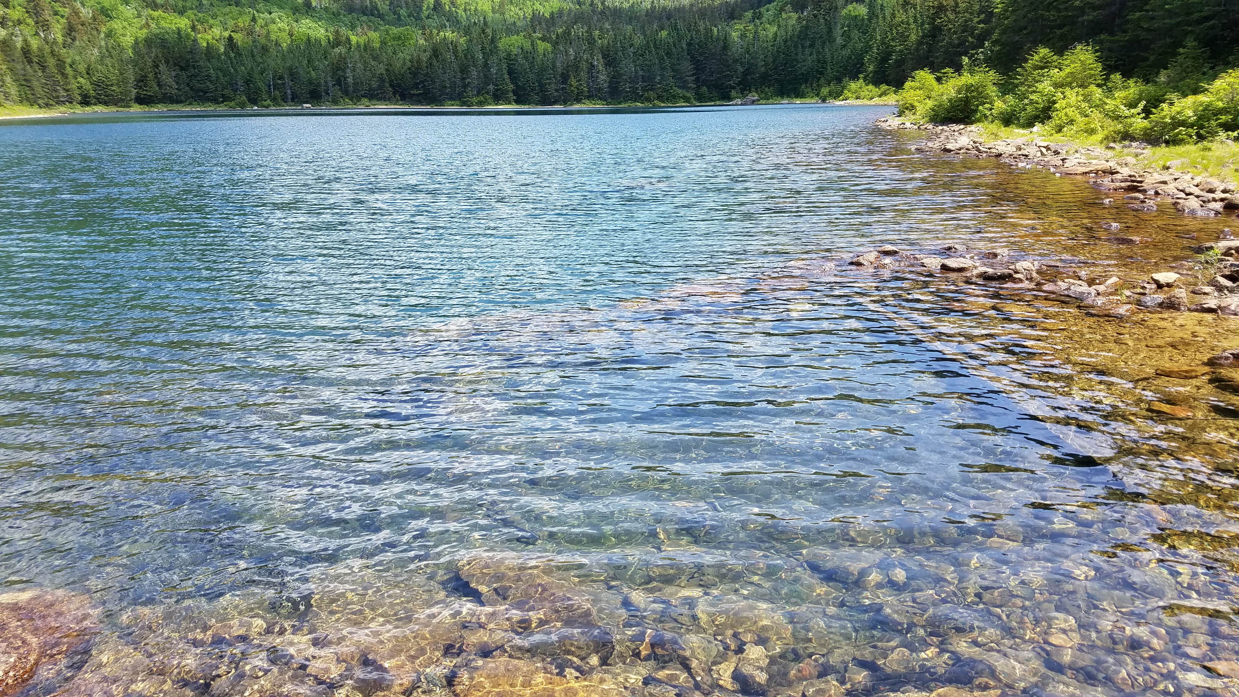 Ryan M.'s photo of a dispersed camping area at Tripoli Road near Franklin, NH