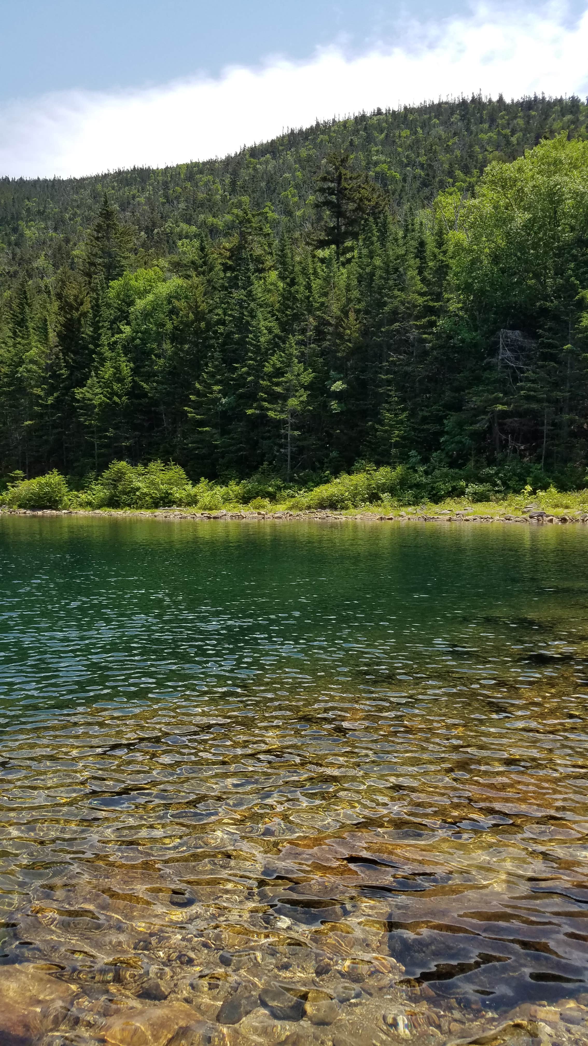 Ryan M.'s photo of a dispersed camping area at Tripoli Road near Bridgton, ME