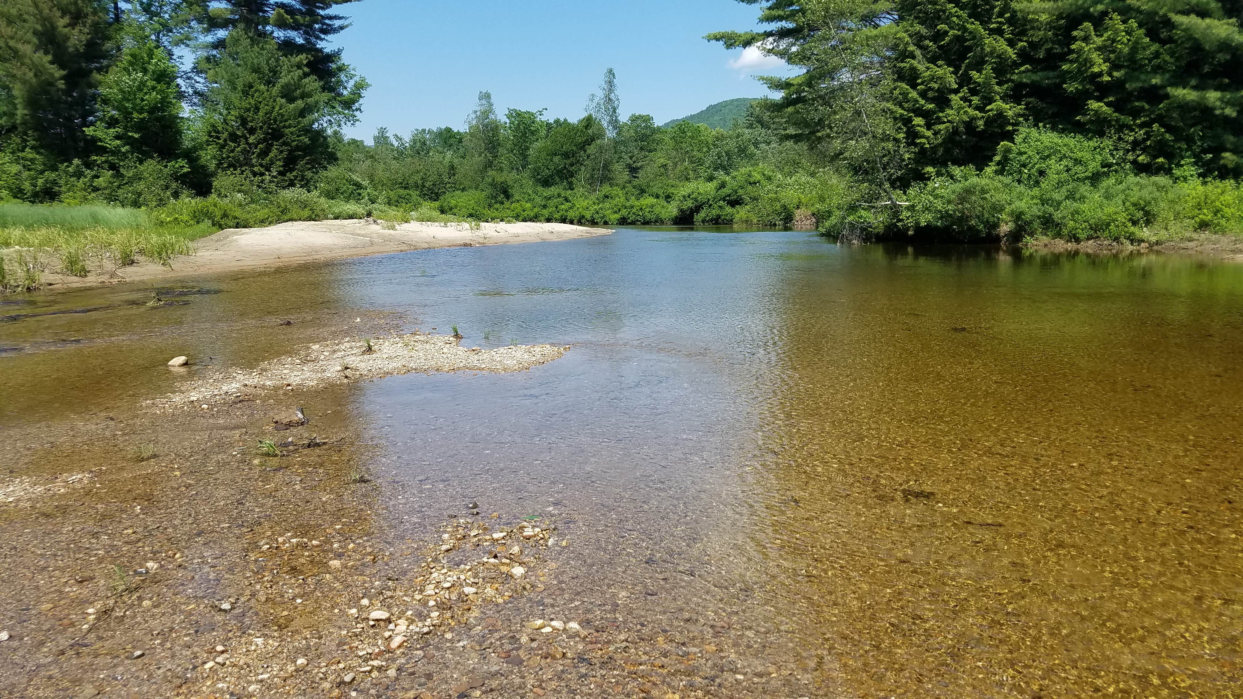 Ryan M.'s photo of a dispersed camping area at Tripoli Road near Denmark, ME