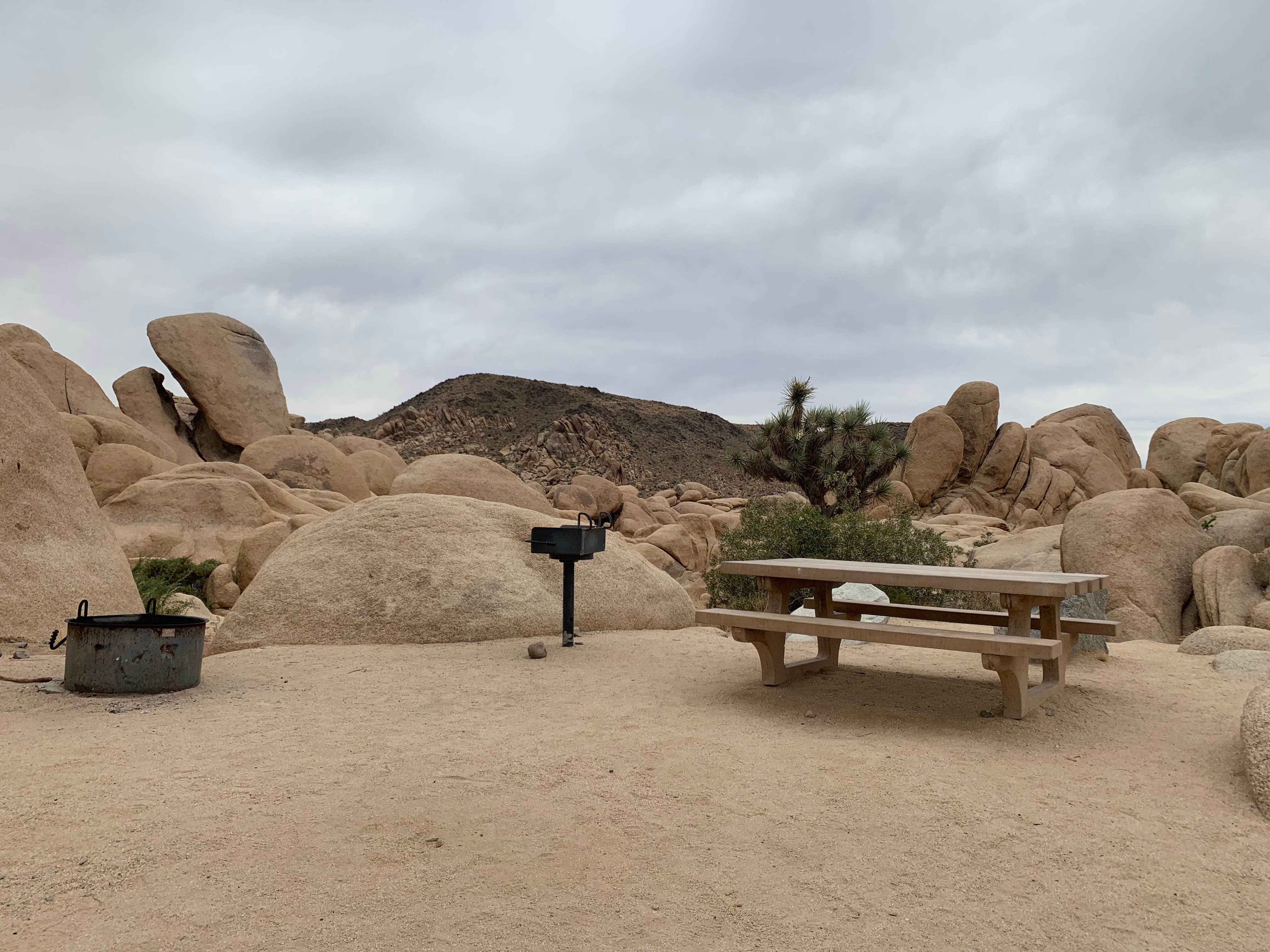 Camper-submitted photo at White Tank Campground — Joshua Tree National Park near Twentynine Palms, CA
